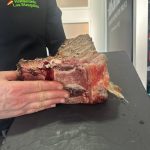 3e245f48-8a57-442a-87fb-e010ff25ba5f